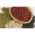 Chinese light Speckled Kidney Beans scientific name of the bean